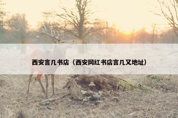 西安言几书店（西安网红书店言几又地址）