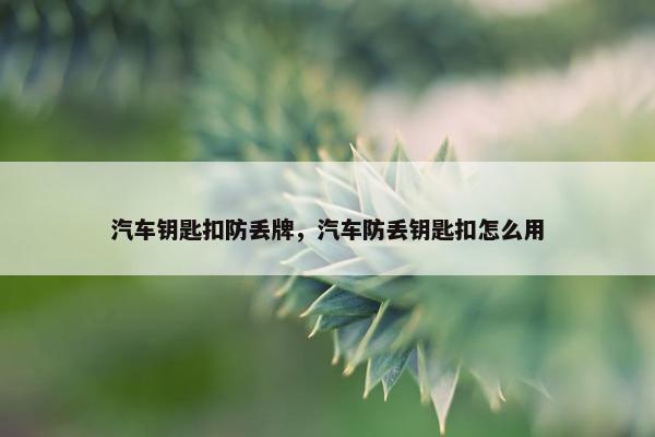 汽车钥匙扣防丢牌，汽车防丢钥匙扣怎么用