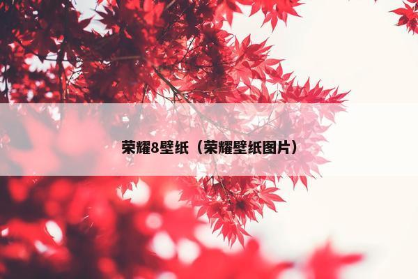 荣耀8壁纸（荣耀壁纸图片）