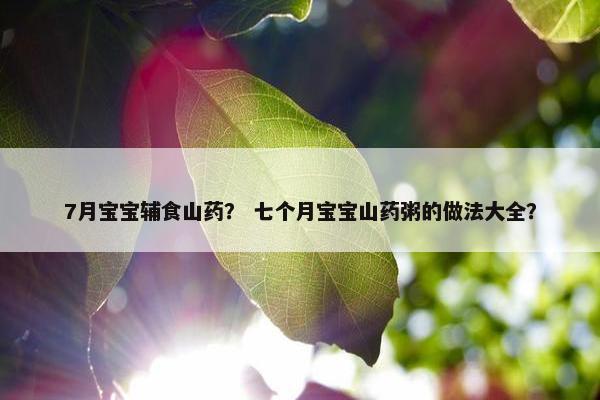 7月宝宝辅食山药？ 七个月宝宝山药粥的做法大全？