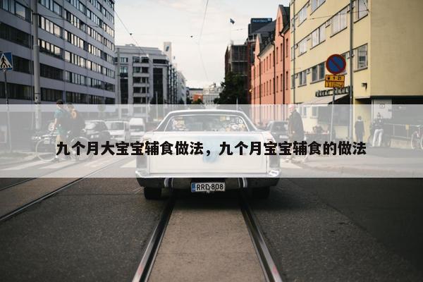 九个月大宝宝辅食做法，九个月宝宝辅食的做法