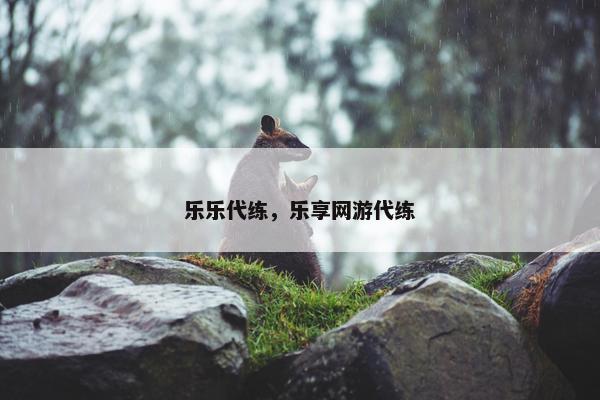 乐乐代练，乐享网游代练