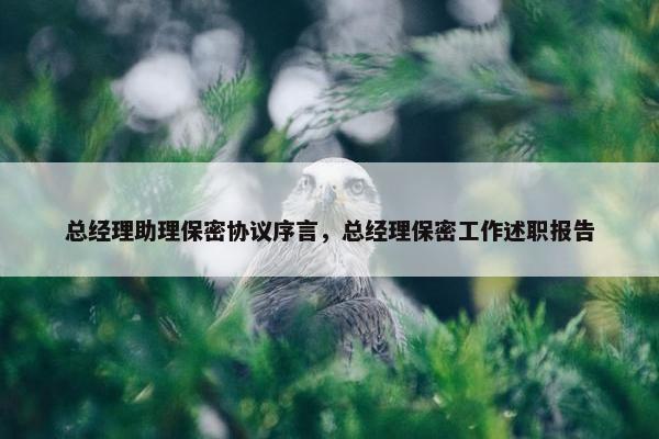 总经理助理保密协议序言，总经理保密工作述职报告