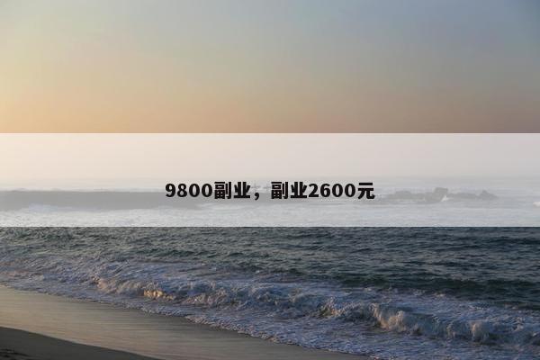9800副业，副业2600元