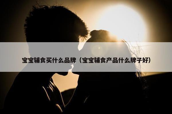 宝宝辅食买什么品牌（宝宝辅食产品什么牌子好）