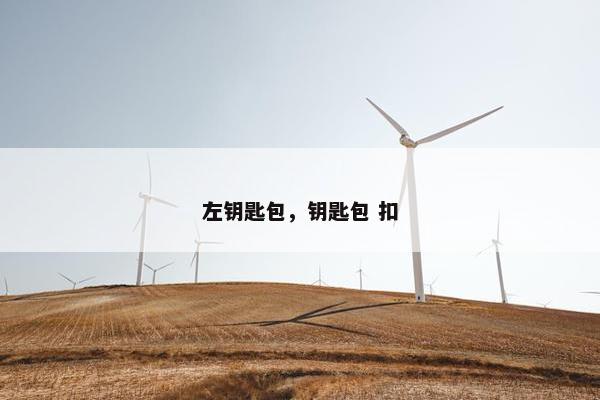 左钥匙包，钥匙包 扣