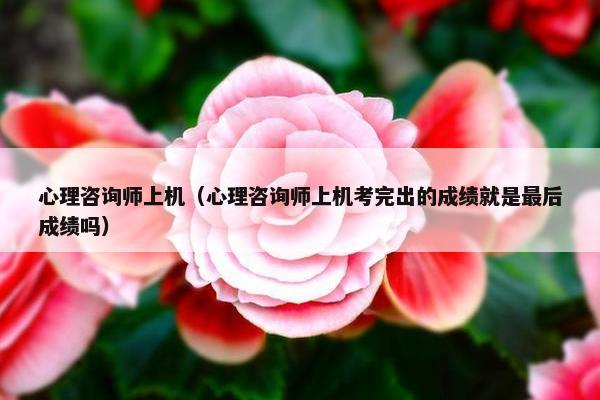 心理咨询师上机（心理咨询师上机考完出的成绩就是最后成绩吗）