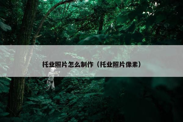 托业照片怎么制作（托业照片像素）