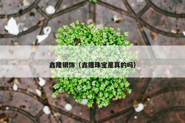 鑫隆银饰（鑫隆珠宝是真的吗）