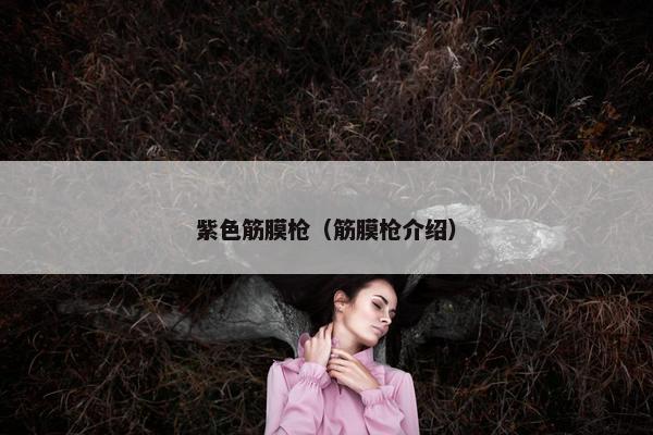 紫色筋膜枪（筋膜枪介绍）