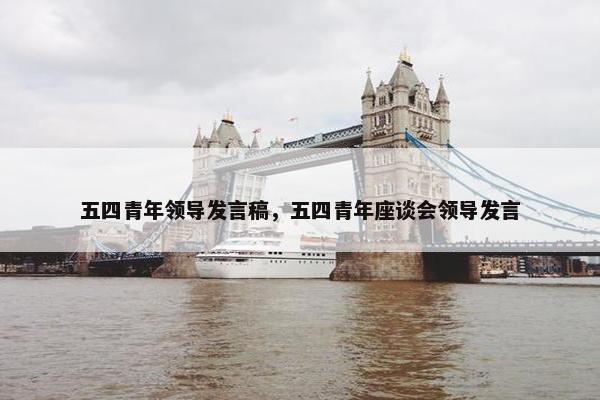 五四青年领导发言稿，五四青年座谈会领导发言