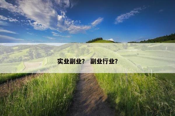 实业副业？ 副业行业？