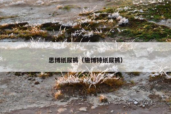 思博纸尿裤（施博特纸尿裤）