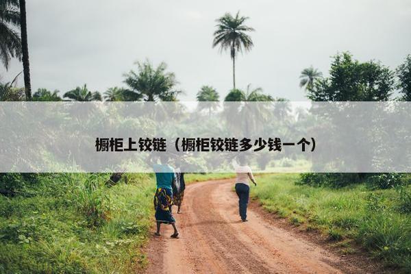 橱柜上铰链（橱柜铰链多少钱一个）