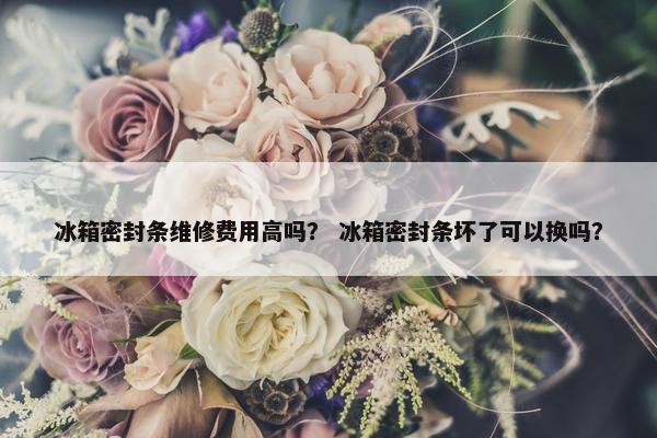 冰箱密封条维修费用高吗？ 冰箱密封条坏了可以换吗？