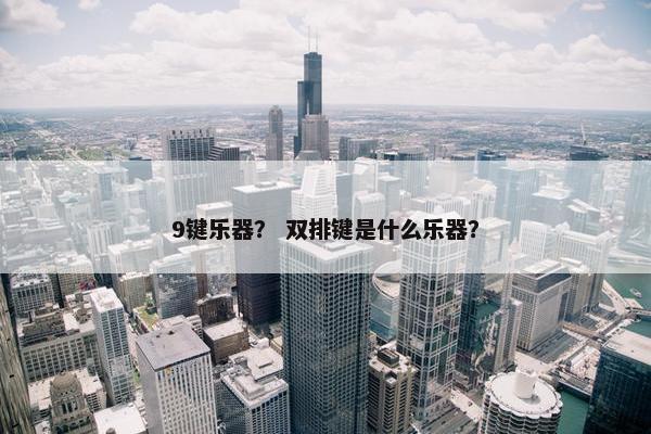 9键乐器？ 双排键是什么乐器？