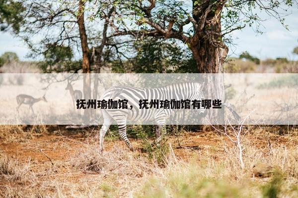 抚州瑜伽馆，抚州瑜伽馆有哪些