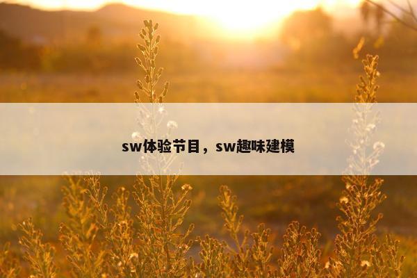 sw体验节目，sw趣味建模