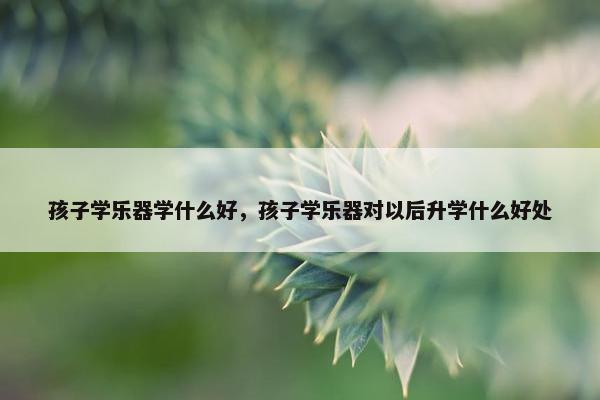孩子学乐器学什么好，孩子学乐器对以后升学什么好处
