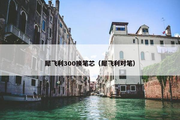 犀飞利300换笔芯（犀飞利对笔）