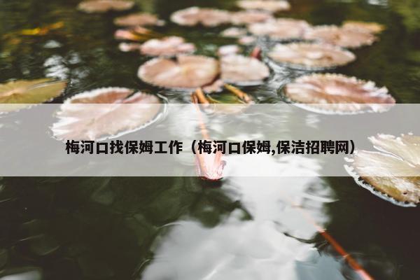 梅河口找保姆工作（梅河口保姆,保洁招聘网）