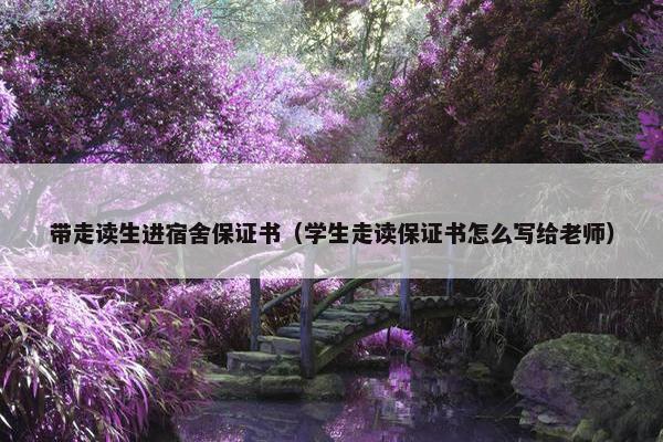 带走读生进宿舍保证书（学生走读保证书怎么写给老师）