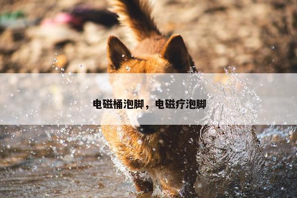 电磁桶泡脚，电磁疗泡脚