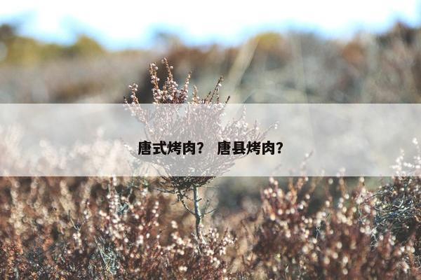 唐式烤肉？ 唐县烤肉？