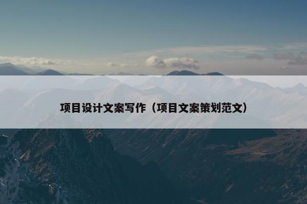 项目设计文案写作（项目文案策划范文）
