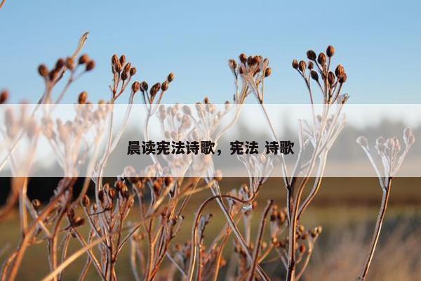晨读宪法诗歌，宪法 诗歌