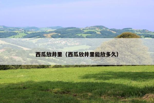 西瓜放井里（西瓜放井里能放多久）