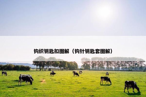 钩织钥匙扣图解（钩针钥匙套图解）