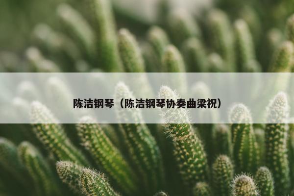 陈洁钢琴（陈洁钢琴协奏曲梁祝）