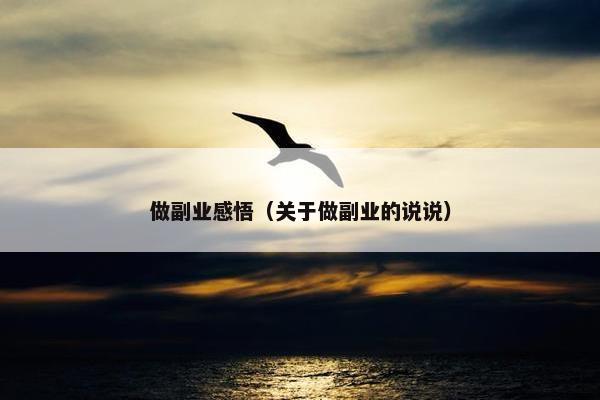 做副业感悟（关于做副业的说说）
