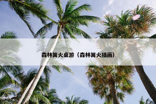 森林篝火桌游（森林篝火插画）