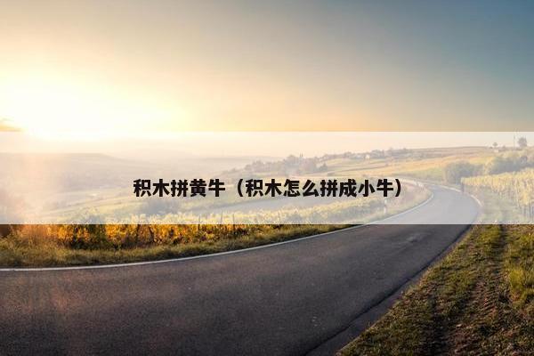 积木拼黄牛（积木怎么拼成小牛）