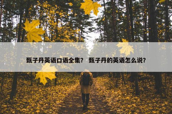 甄子丹英语口语全集？ 甄子丹的英语怎么说？