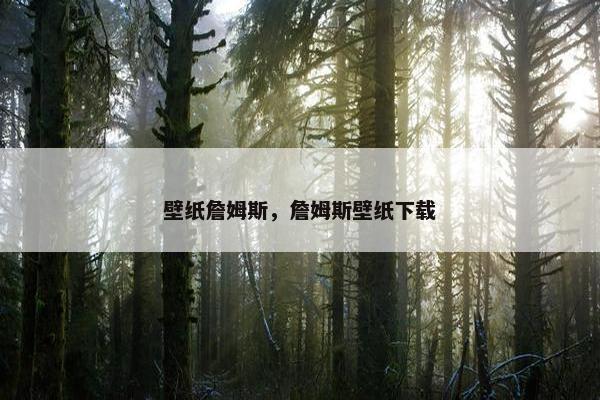 壁纸詹姆斯，詹姆斯壁纸下载