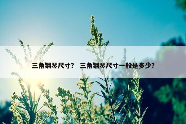 三角钢琴尺寸？ 三角钢琴尺寸一般是多少？