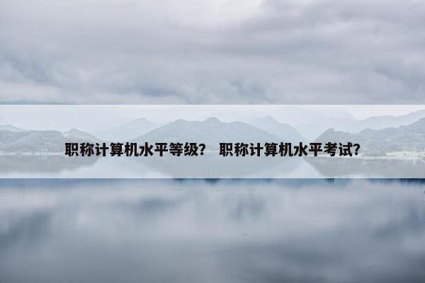 职称计算机水平等级？ 职称计算机水平考试？