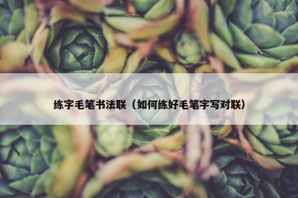 练字毛笔书法联（如何练好毛笔字写对联）