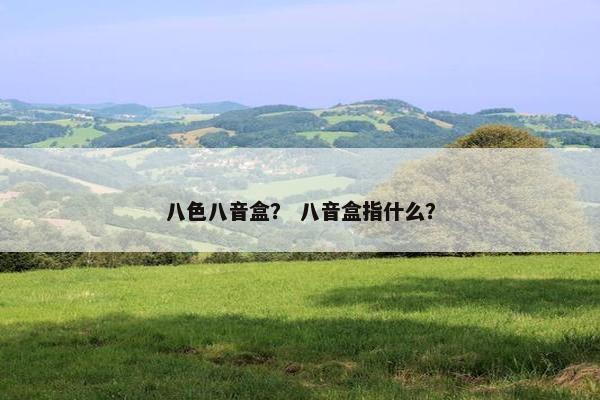 八色八音盒？ 八音盒指什么？