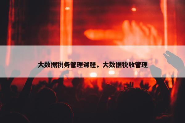 大数据税务管理课程，大数据税收管理