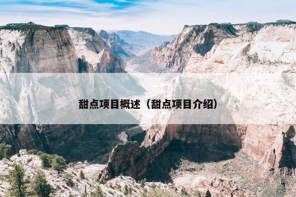 甜点项目概述（甜点项目介绍）