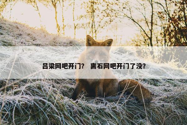 吕梁网吧开门？ 离石网吧开门了没？