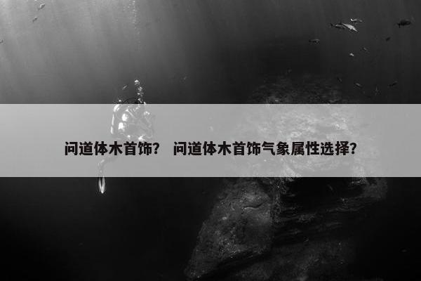 问道体木首饰？ 问道体木首饰气象属性选择？