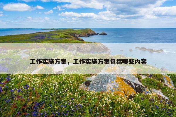 工作实施方案，工作实施方案包括哪些内容