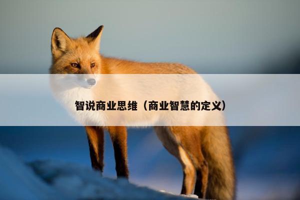 智说商业思维（商业智慧的定义）