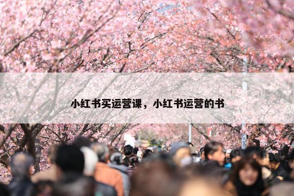 小红书买运营课，小红书运营的书