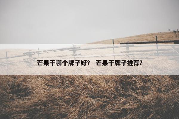 芒果干哪个牌子好？ 芒果干牌子推荐？